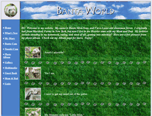 Tablet Screenshot of bantaworld.com